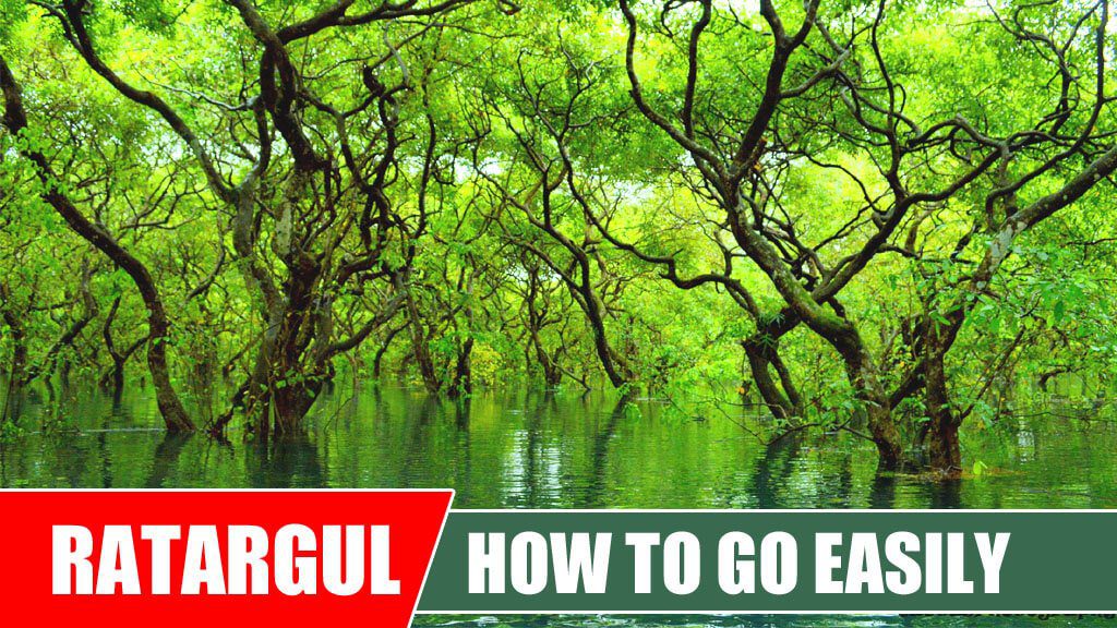 How To Go Ratargul