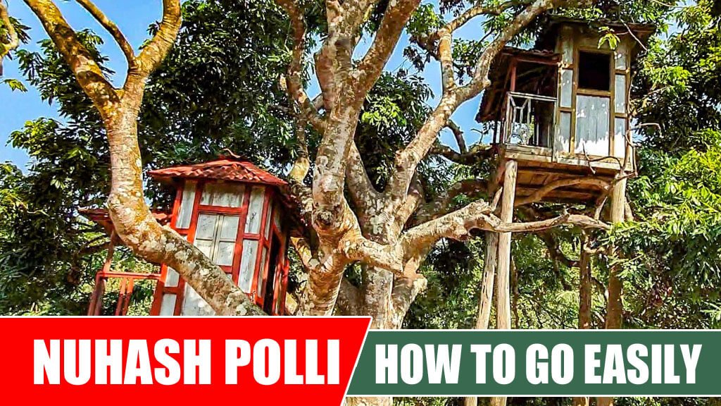 How To Go Nuhash Polli