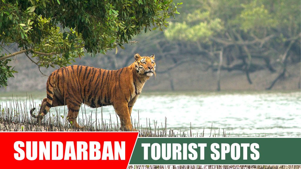 Sundarban Tourist Spots