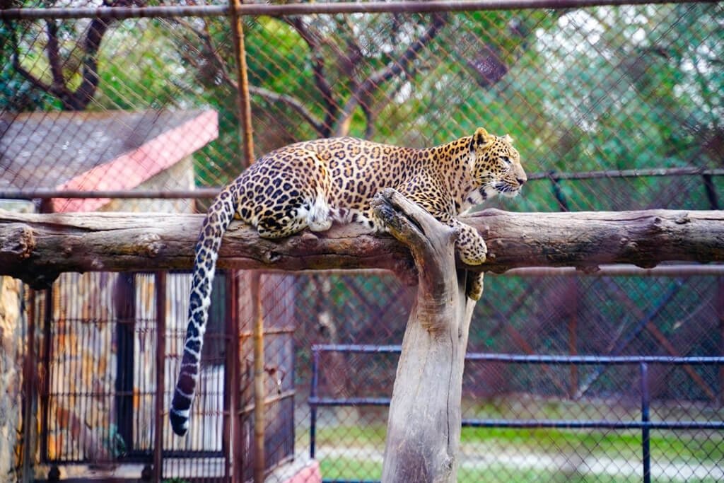 National Zoological Park delhi