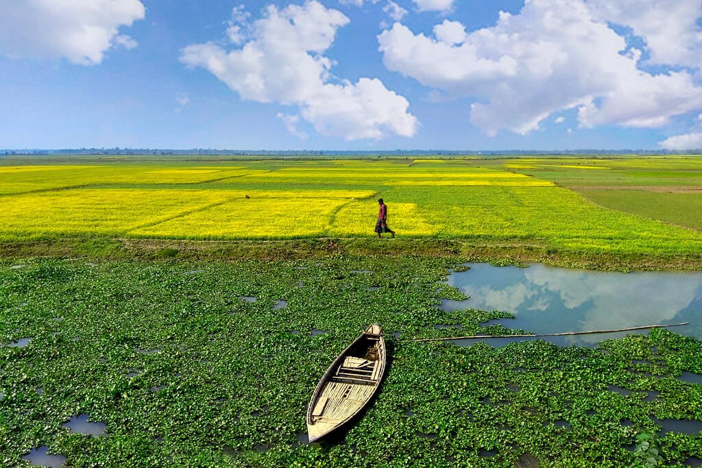 Nijhum deep নিঝুম দ্বীপ