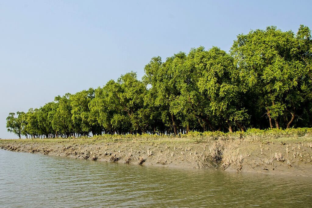 নিঝুম দ্বীপ