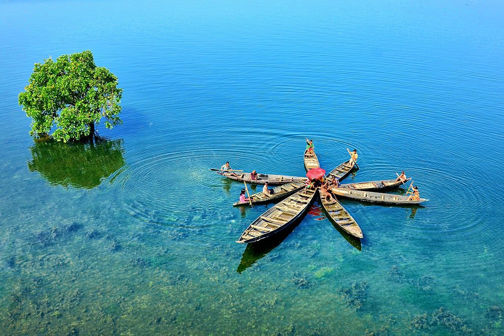 Ratargul2