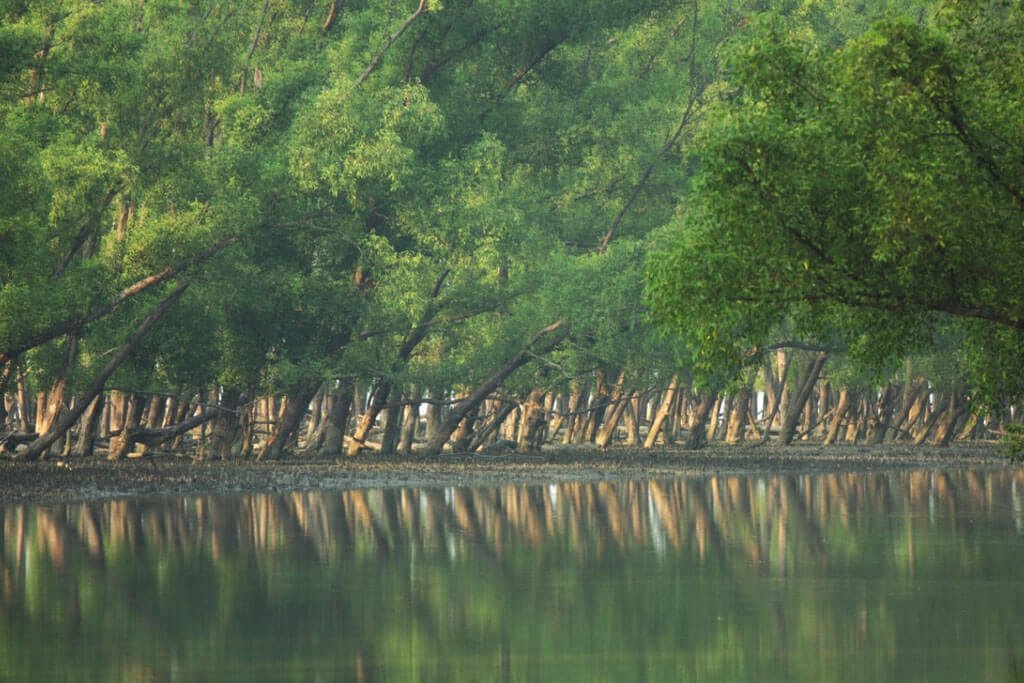 সুন্দরবন