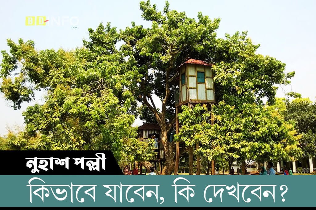নুহাশ পল্লী কিভাবে যাবেন