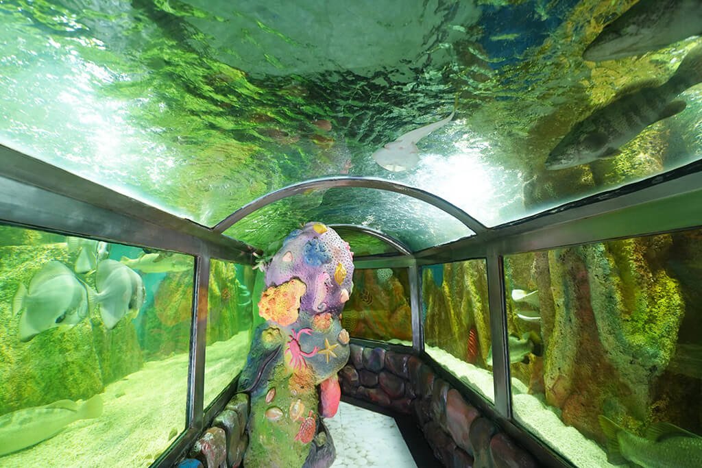 Radiant Fish World