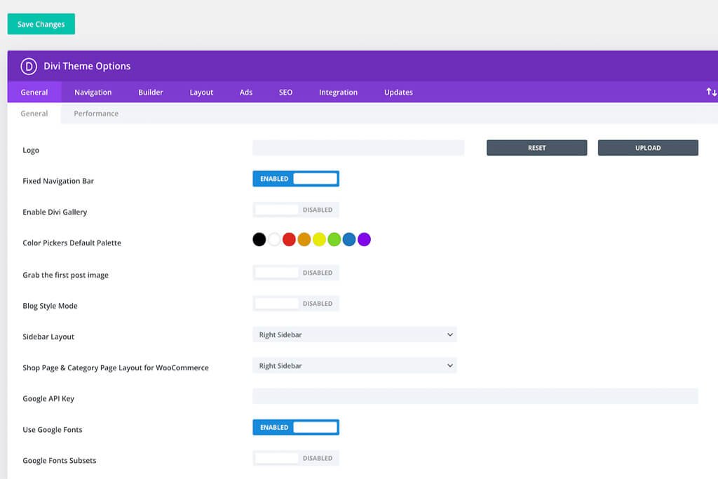 Divi Theme