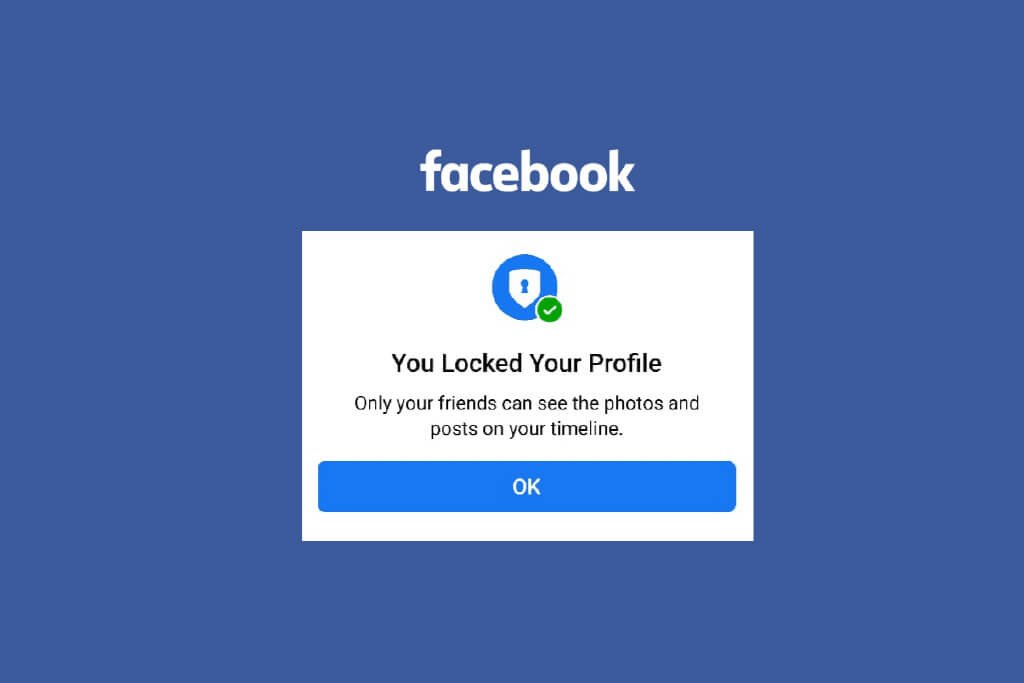 Facebook Locked Profile - ফেসবুক লক প্রোফাইল