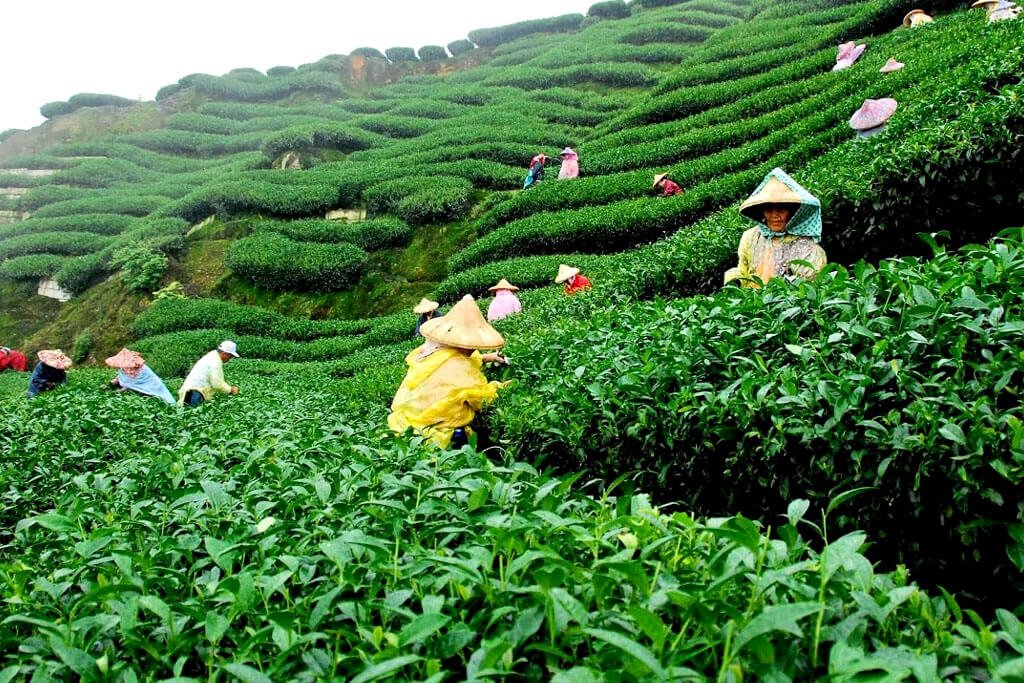 sylhet