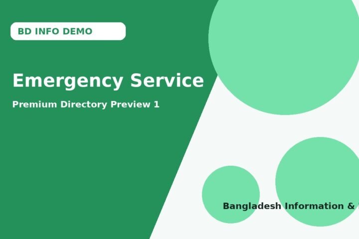 Emergency Service demo preview