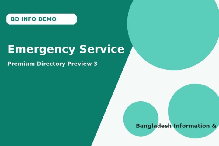 Emergency Service demo preview